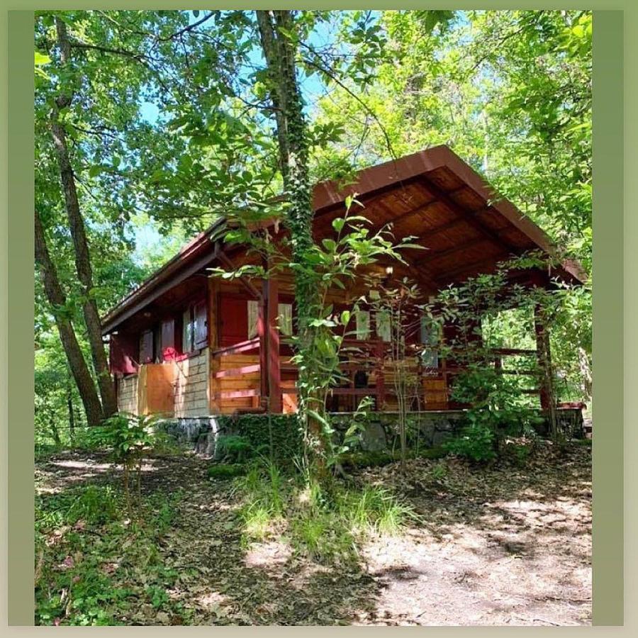 Etna Holiday home *