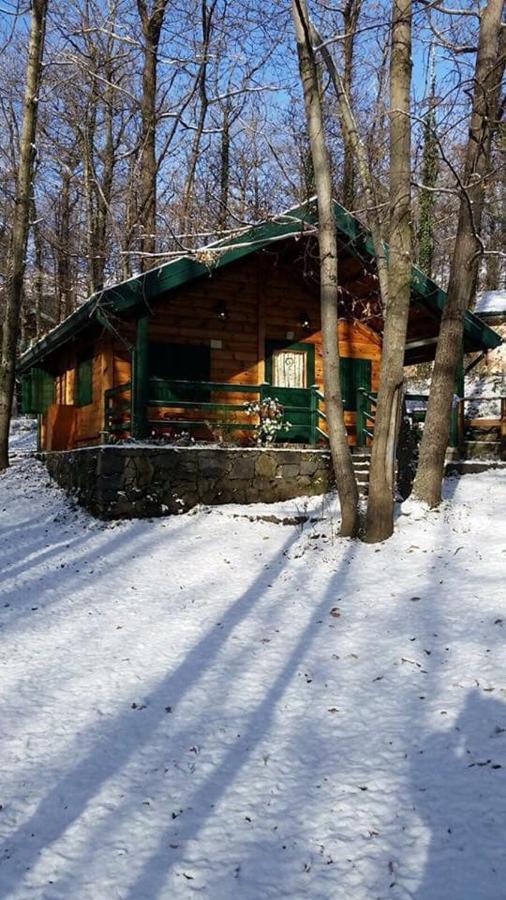 Etna Holiday home