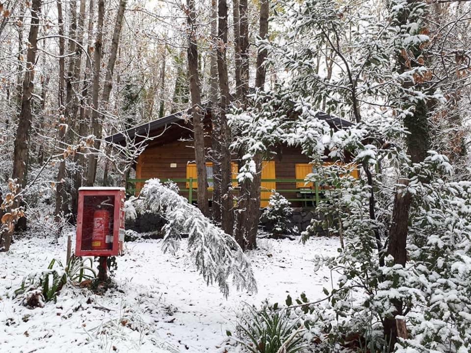 Etna Holiday home *