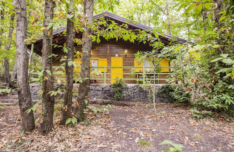 Etna Holiday home
