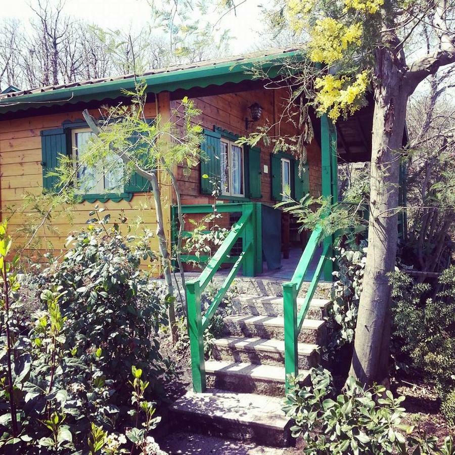 Holiday home Etna *
