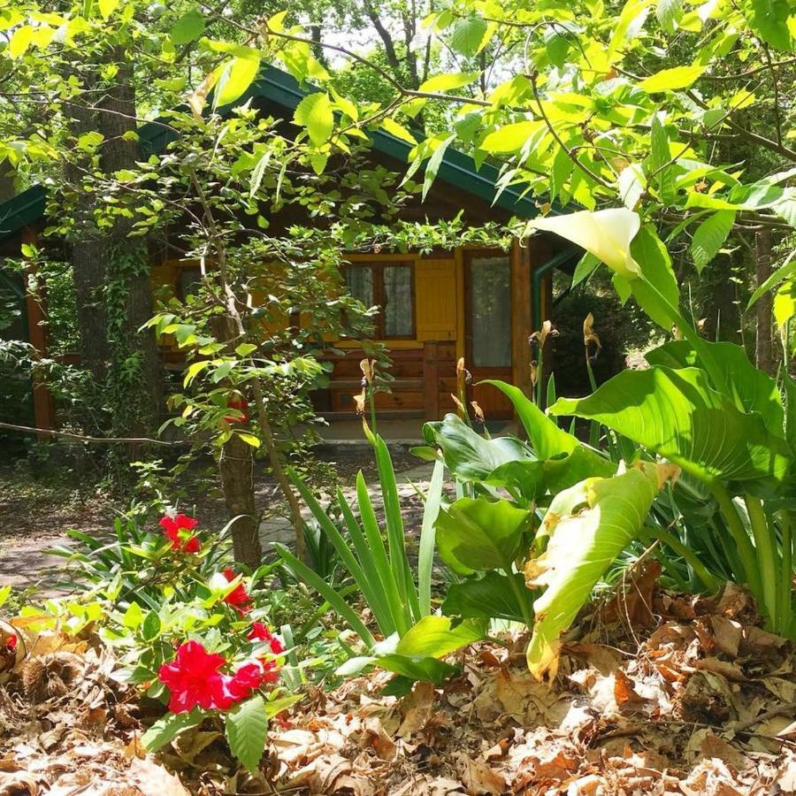 Etna Holiday home *